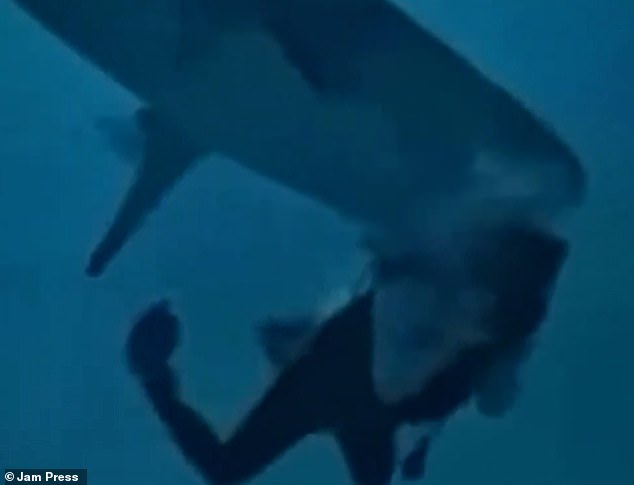 The swimmer frantically tried to escape the beast's jaws by kicking his feet and waving his arms