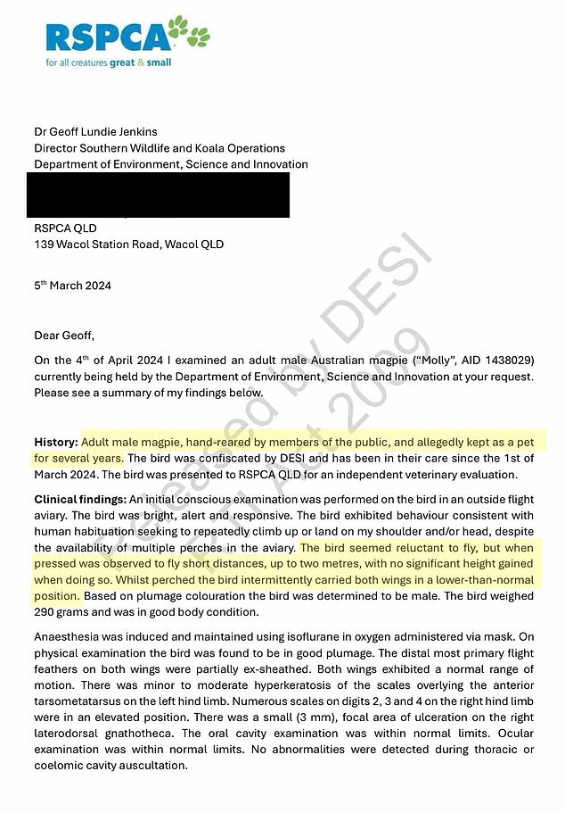 Daily Mail Australia revealed on Wednesday that the RSPCA Queensland veterinary director investigated Moll after the bird was first seized and discovered it could not live in the wild.