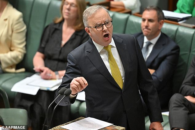 New laws to enforce age limits on social media were passed by the Senate late Thursday evening (photo, Prime Minister Anthony Albanese)