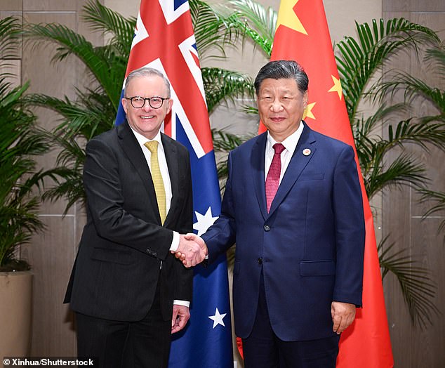 Until Prime Minister Anthony Albanese (left) visited China in November last year, an Australian prime minister had not been to the country since 2016. He is pictured shaking hands with Chinese President Xi Jinping (right) on the sidelines of the 19th G20 Summit in Rio de Janeiro last week