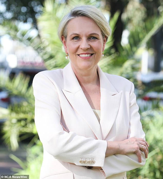 Environment Minister Tanya Plibersek (pictured) has been criticized by land council leaders for not listening to their views on cultural heritage claims