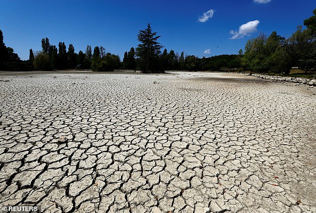 The drought has led to fire bans and efforts to conserve water, after October was reported to be the driest month on record