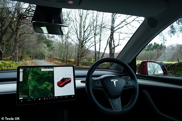 After unlocking a Model 3 or Model Y via their phone, customers can take a Tesla for themselves for 30 minutes before deciding whether to place an order