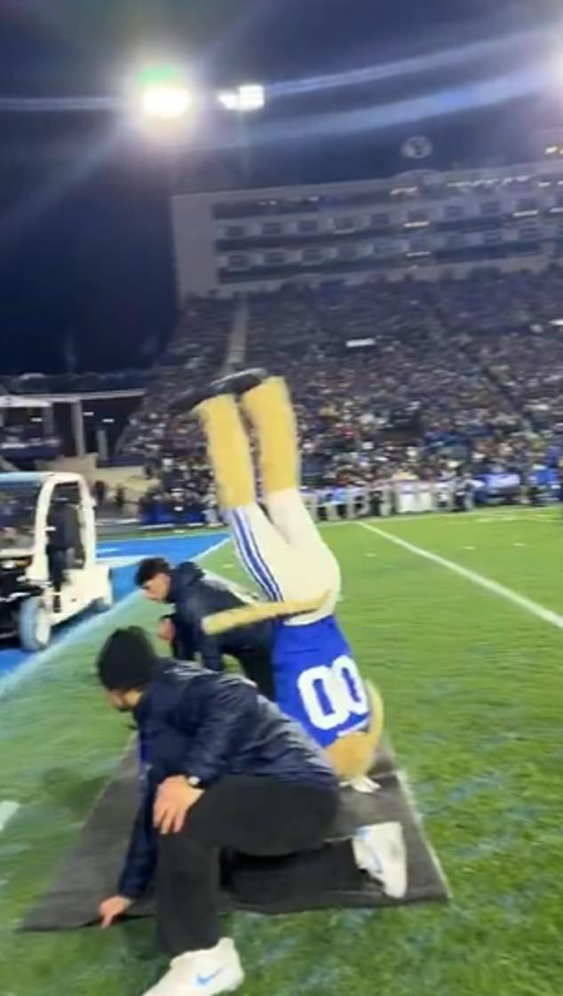 BYU's mascot, Cosmo Cougar, tried a wild stunt during Saturday's football game