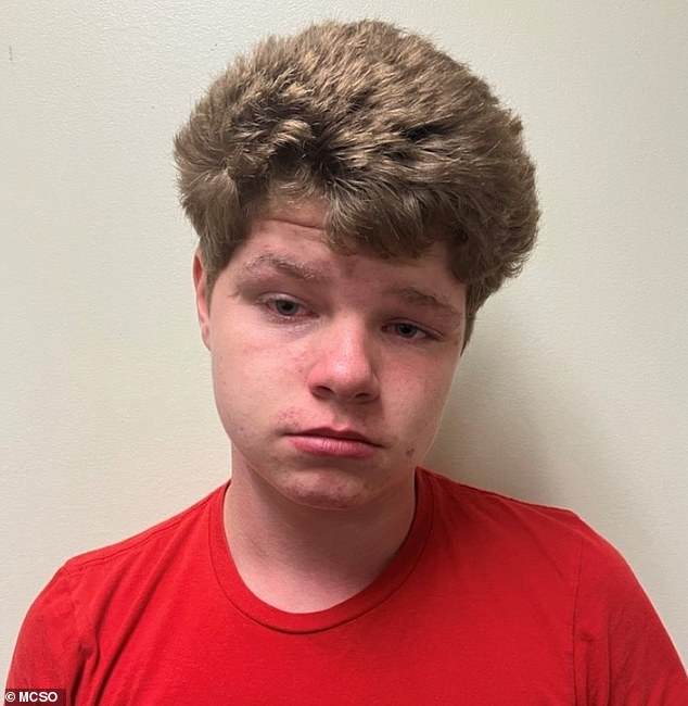 The details of the June 9 attack in Florida are disturbing, and 14-year-old Jesse Stone (seen here in a June 17 mugshot) will be tried as an adult.