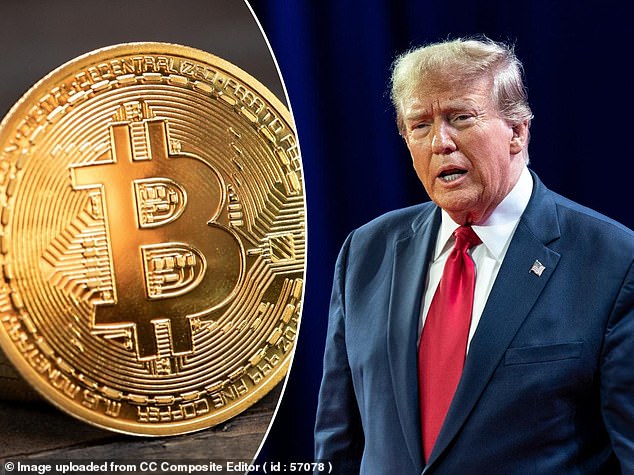 Boost: Donald Trump has insisted he will make the US 'the crypto capital of the planet'