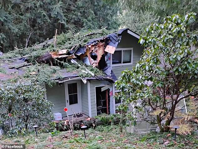 Trees fell on several homes, a propane tank and a pickup truck in Sudden Valley, according to social media posts