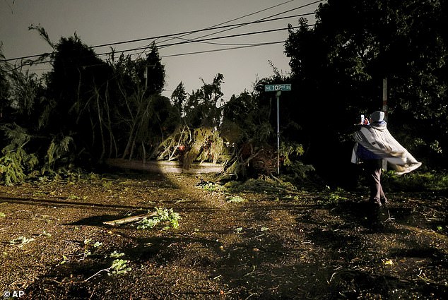 A person records damage to a tree and downed power lines