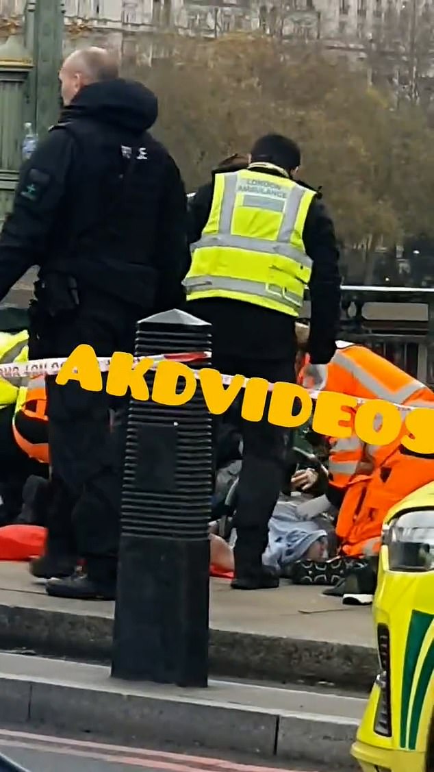 Images shared online by London resident Akinbayo Dele appear to show the response of emergency services following this morning's incident on Westminster Bridge