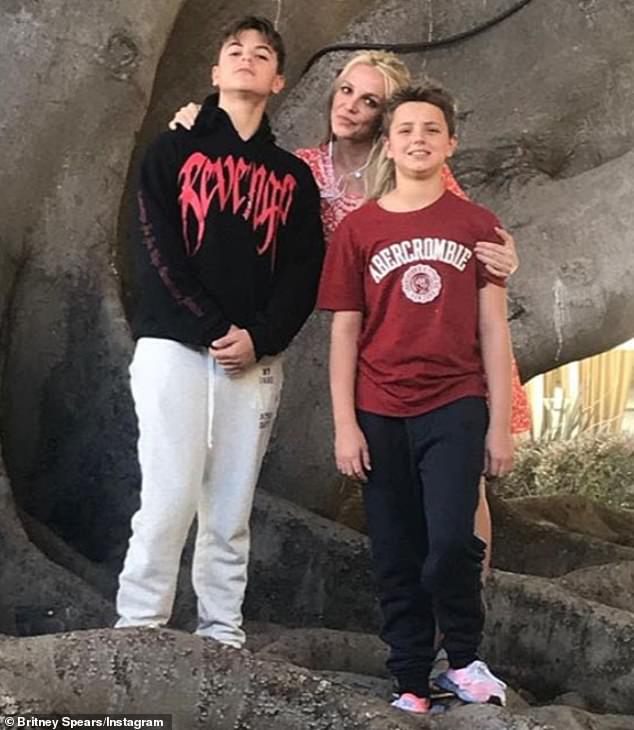 Britney Spears has reunited with 18-year-old son Jayden (pictured right) after years of estrangement and his move to Hawaii with dad Kevin Federline and older brother Sean Preston, 19 (pictured left)