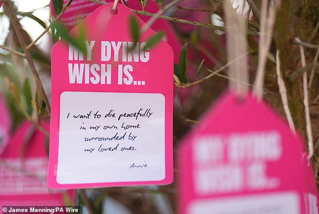 A 'dying wish' tied to a tree by a group of terminally ill people and bereaved people, in support of the Terminally Ill Adults (End of Life) Bill, in Parliament Square in London