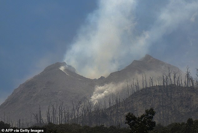 Mount Lewotobi Laki-laki erupted in eastern Indonesia around midnight local time on Sunday