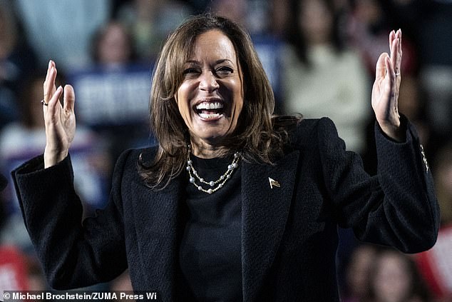 Vice President Kamala Harris leads a list of Democrats who could run in the 2028 elections