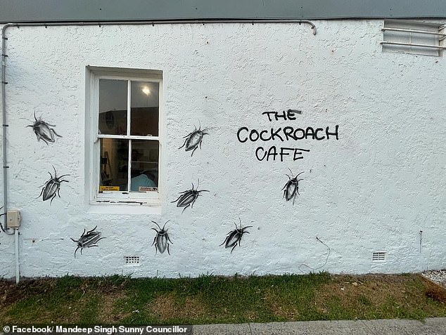 The vandal left stencil-sprayed images of cockroaches on the side wall of the cafe with an odious message