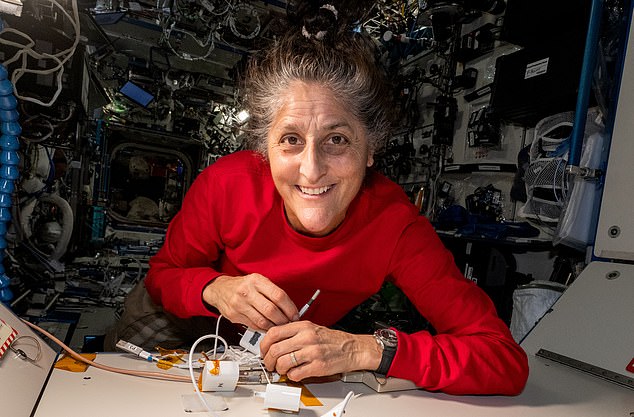 It looks like Sunita Willimas has lost a dramatic amount of weight while stranded on the ISS. She claimed it was due to fluid shift, which left her face swollen. But doctors claimed her face actually looks 'guant'. Williams is pictured in September