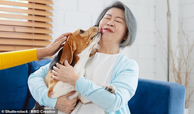 Dozens of pet owners have revealed how their dogs and cats discovered their cancer using their powerful sense of smell