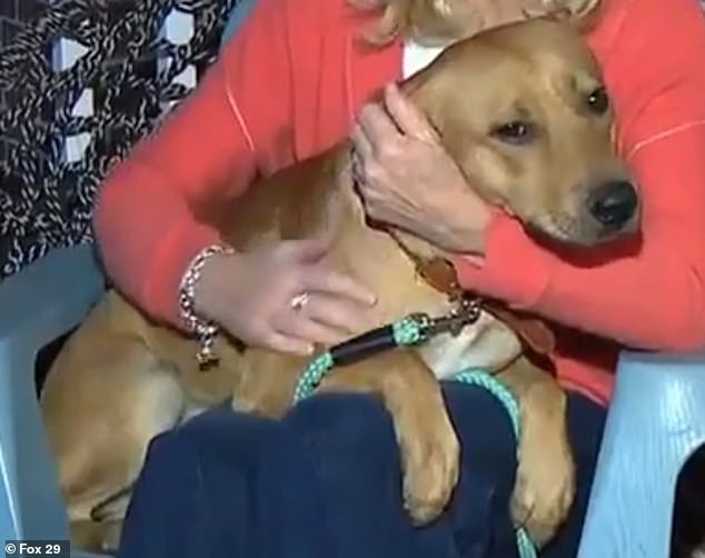 Rusty, a shelter dog in North Carolina, was rescued by a Pennsylvania family after Hurricane Helene and returned the favor by saving their lives just two weeks later