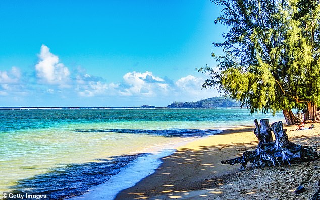 A Hawaii homeowner has hired bouncers to try to keep the public away from a stretch of Anini Beach in front of their property