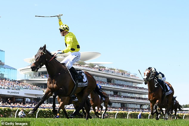 Without a Fight became the latest in a long line of champion horses to win the Melbourne Cup when he saluted in 2023 (pictured)