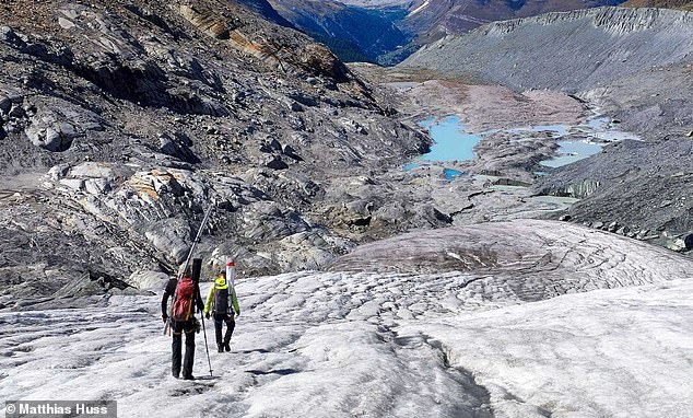 Glaciers around the world are shrinking at an alarming rate, the new study reveals. Pictured: Fieldwork on the Findelen Glacier in Switzerland