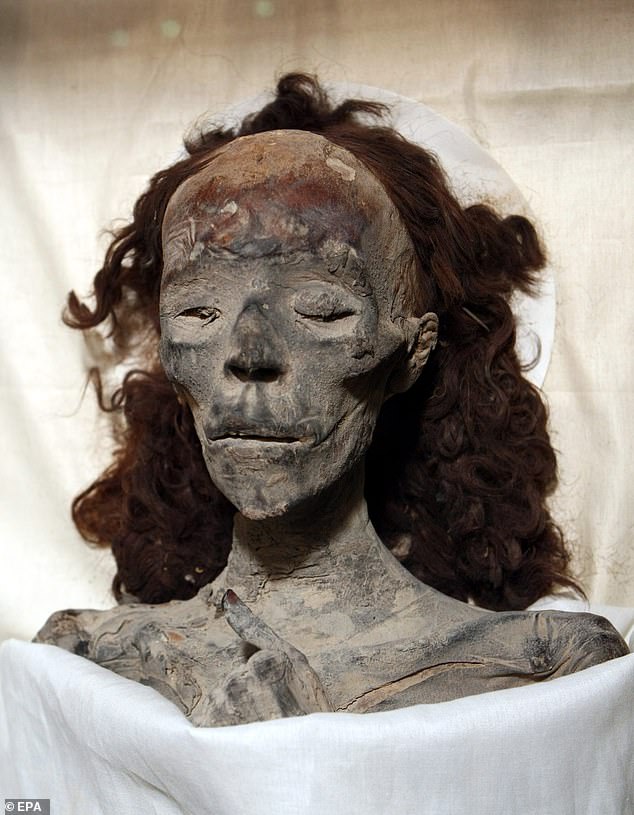 Queen Tiye's mummy was discovered in 1898 in the tomb of Amenhotep II in the Valley of the Kings, but DNA analysis confirmed her identity until 2010