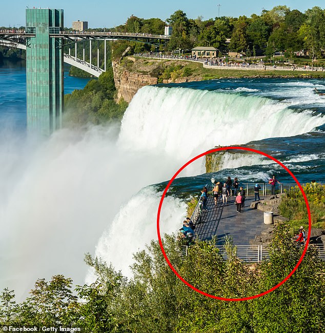 Means, along with her two children, are believed to have crossed the 'safety guild rail' on Luna Island at around 9pm on Monday evening (stock photo of the rail)