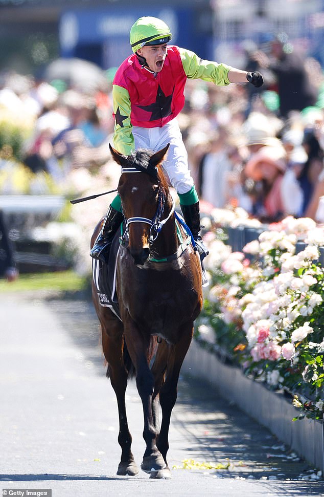 The family backed outsider Knight's Choice (pictured) to win the Melbourne Cup and chose the three horses to finish after him