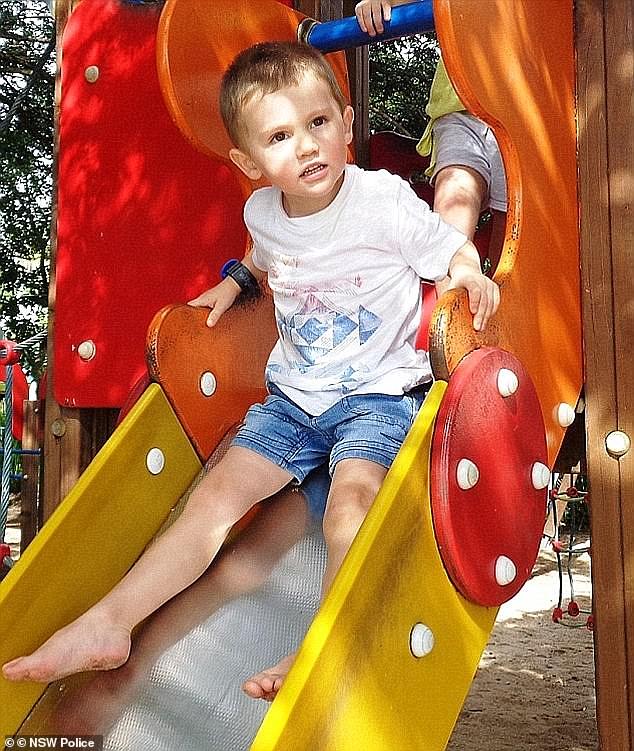 William Tyrrell's foster mother was questioned at the NSW Crime Commission over whether the three-year-old fell from the verandah of his grandmother's house and his body disposed of in bushland.