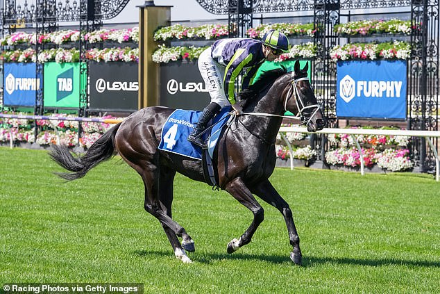 Busuttin Stables representatives are furious after Racing Victoria vets ruled out two of their competitors - including Brayden Star (pictured) - ahead of Tuesday's Melbourne Cup