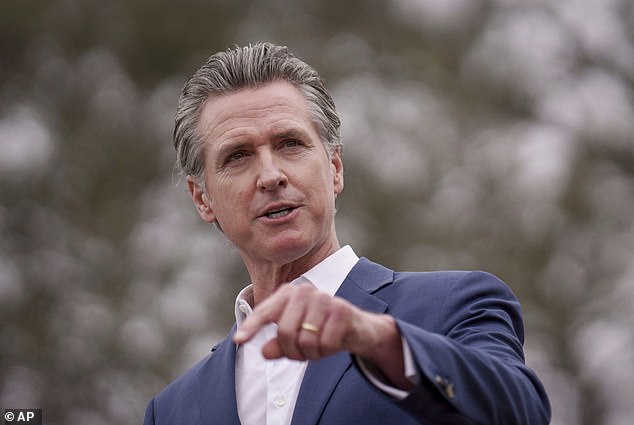 Gavin Newsom's attempts to defy Donald Trump have now hit key ally Elon Musk, as California plans an electric vehicle rebate program that does not include Tesla