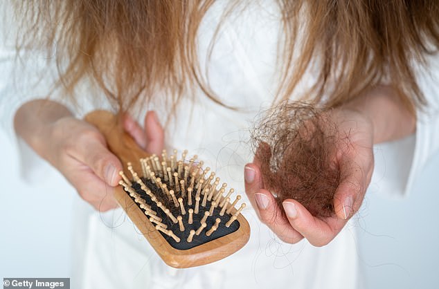 The fungus not only causes itchy, red patches of skin on the scalp, but in some cases it can also cause bald patches because infected hairs are brittle and break easily.