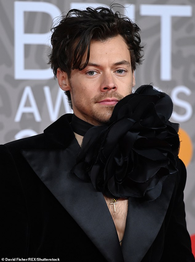 Harry Styles fans are wondering if the One Direction star may have had some help and had a hair transplant