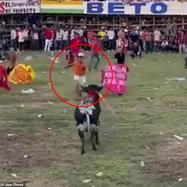 Thrill seeker Jhon Mario Puello Caballero ran straight towards the animal's head to try to fly over it during a traditional event in Bolivar, Columbia on November 12