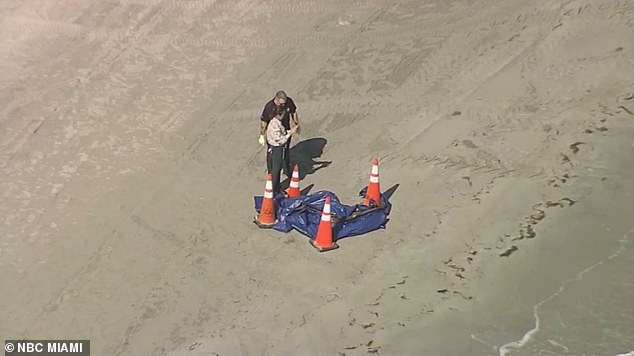 Miami-Dade police launched an investigation Tuesday after a human head washed up on Key Biscayne