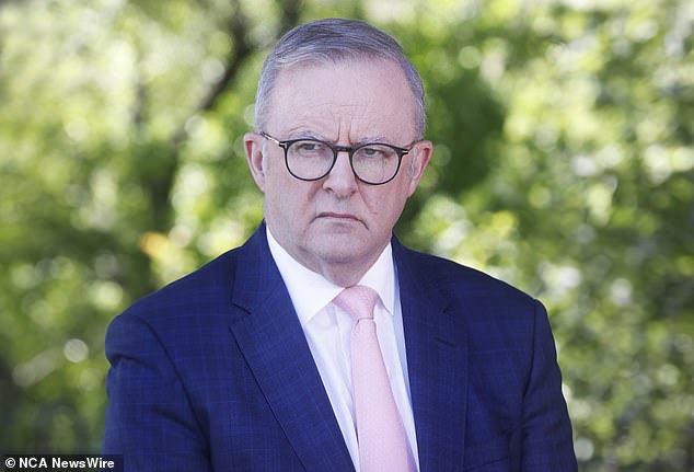 The Australian government is the country's top spender on Facebook ads, despite pushing through misinformation laws that could see social media companies fined for harmful posts (Prime Minister Anthony Albanese is pictured)