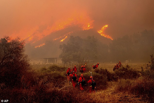 Inmate firefighters battle the mountain fire at Swanhill Farms in Moorpark, California in November 2024