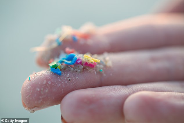 Tiny plastic particles – microplastics – in the air we breathe, our food and water and many of the products around us contaminate our bloodstream and organs