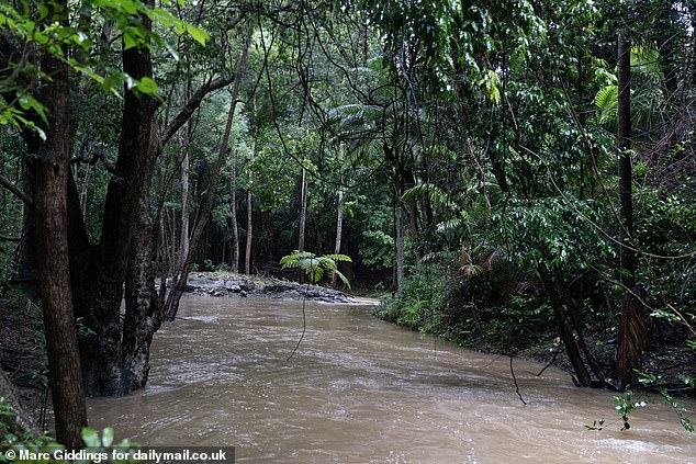 A steady rainstorm has flooded the I'm A Celebrity jungle, threatening the safety of contestants after they camped there for less than a week