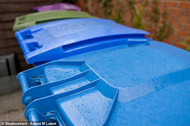 It's the question plaguing homes across the country: Which bin does this go in? (stock image)