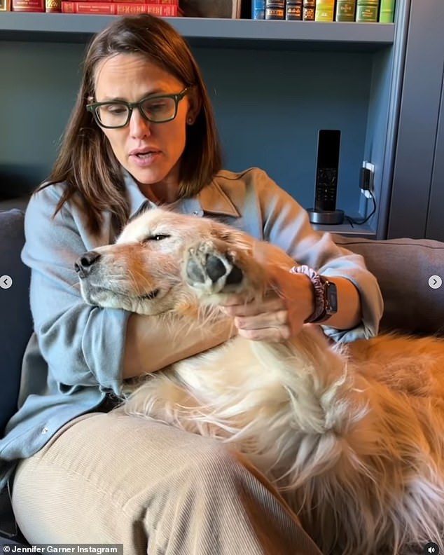 Jennifer Garner announced the tragic death of her golden retriever dog Birdie in a heartbreaking Instagram post on Wednesday