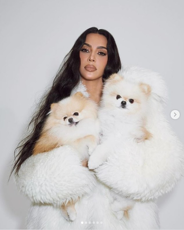 Kim Kardashian posed with her two Pomeranians Sushi and Sake for a photo shoot for the SKKN Holiday Collection