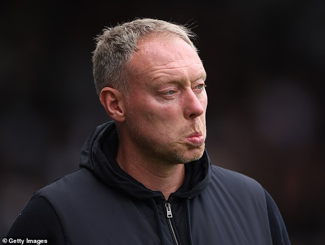 Steve Cooper was sacked after a 2-1 defeat to Chelsea, amid a run of four games without a win