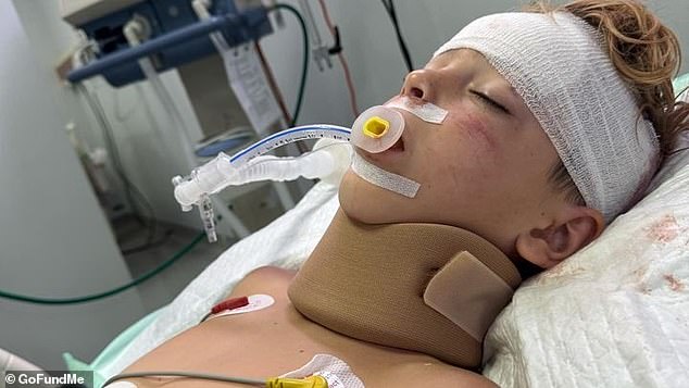 Joshua 'Joshy' Schuetz, 8, (pictured) suffered a skull fracture and brain haemorrhage in Bali when the quad bike he was riding in overturned and trapped him