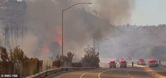 The fire grew to more than 40 hectares after breaking out in an area full of old, dry palm trees that quickly caught fire and spread before building momentum to jump over a road.