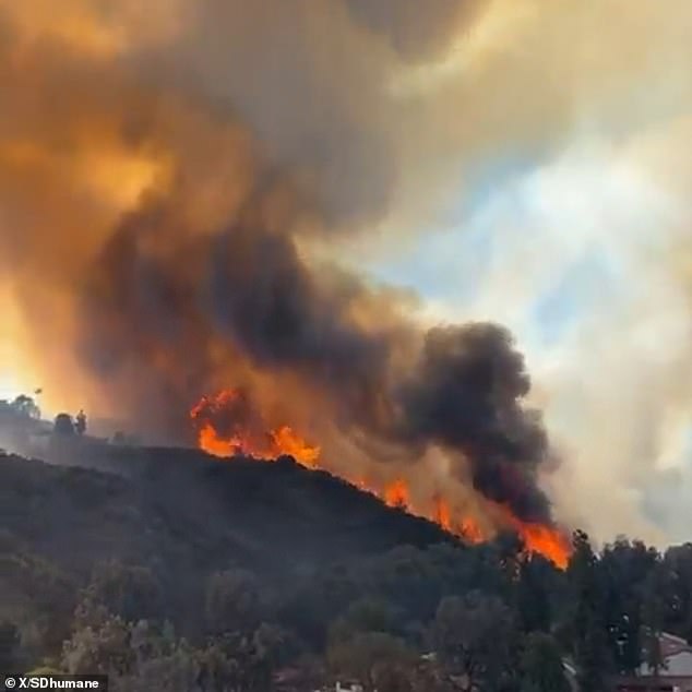 A fast-growing wildfire has broken out in San Diego, prompting mass evacuations and damaging homes as dark clouds fill the sky