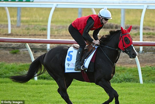 Geelong Cup winner Onesmoothoperator failed a veterinary check on Friday and is doubtful for the Melbourne Cup