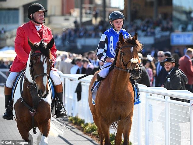 Declan Bates (pictured right riding with Herman Hesse) calls on Racing Victoria to consider adjusting weights for the great race