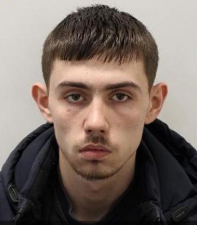 David Doyle, 19, of Brick Lane, Northolt, was sentenced to five and a half years in prison at Harrow Crown Court on November 14.