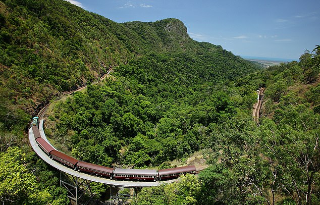 MailOnline Travel's Tom Chesshyre boards the Kuranda Scenic Railway (above)