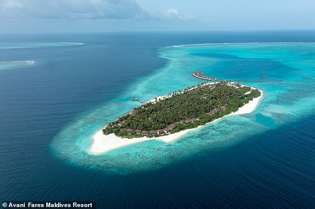 Carol Driver takes a trip to Avani+ Fares Maldives (above), located on the western edge of the 'eye-opening Baa Atoll'